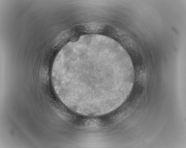 X0000115280599200911272008