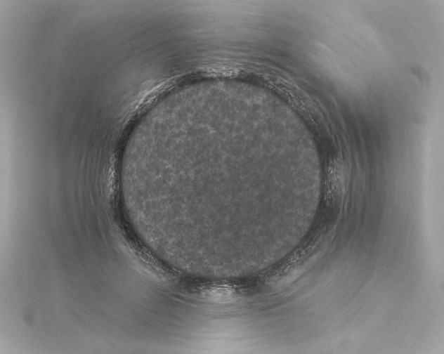 X0000115280600200911272008