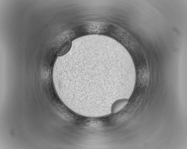 X0000115280601200911272008