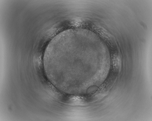 X0000115280611200911272008