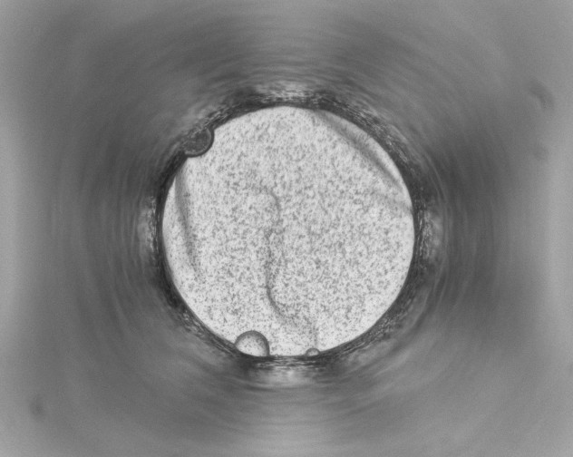 X0000115280612200911272008