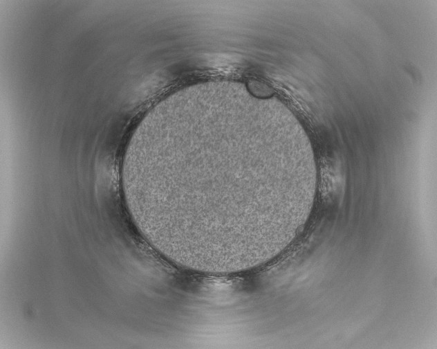 X0000115280613200911272008