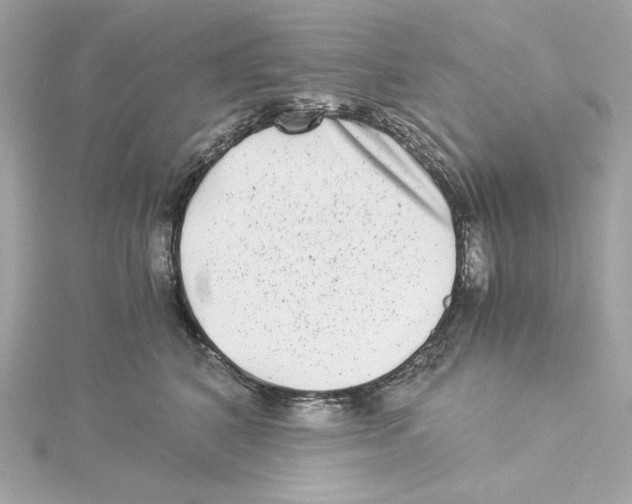 X0000115280616200911272008