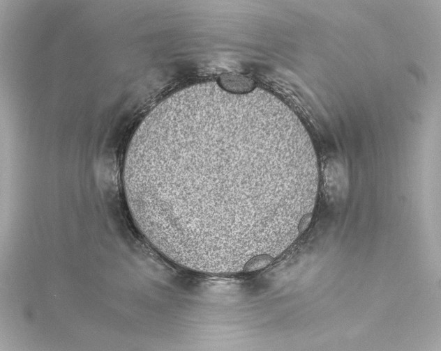 X0000115280617200911272008