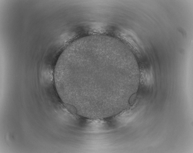 X0000115280621200911272008