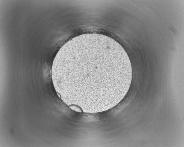 X0000115280624200911272008