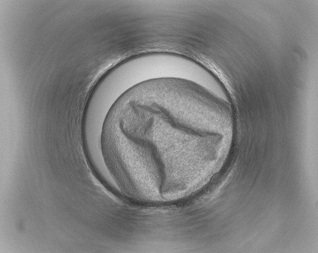 X0000115280625200911272007