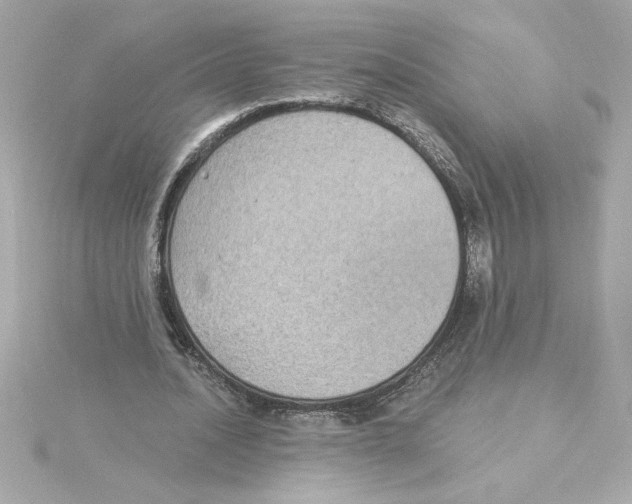 X0000115280628200911272007