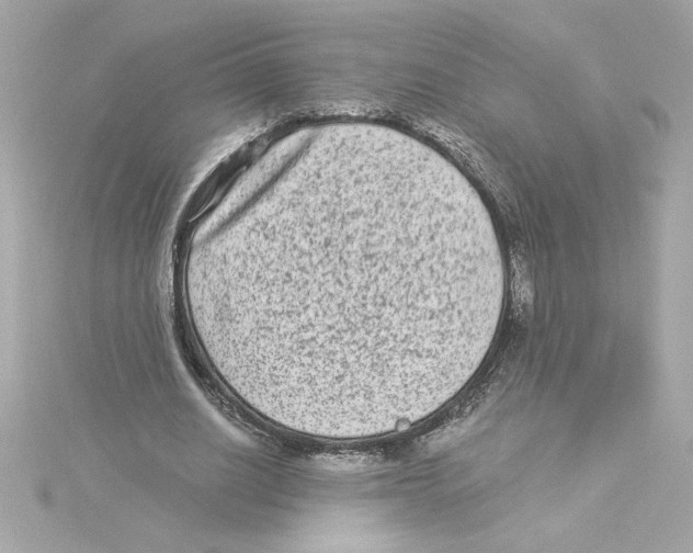 X0000115280630200911272007