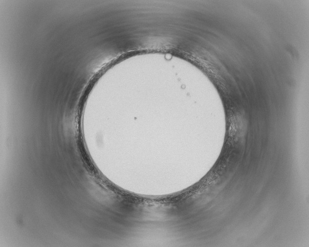 X0000115280632200911272007