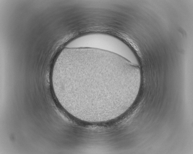 X0000115280633200911272007