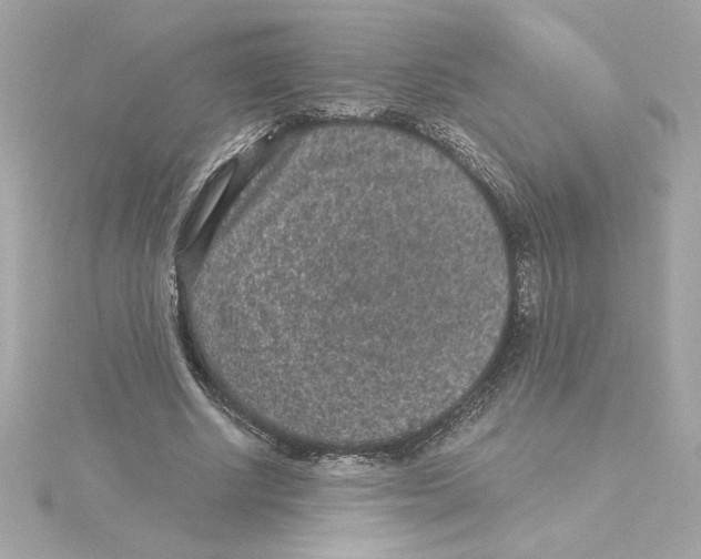 X0000115280634200911272007