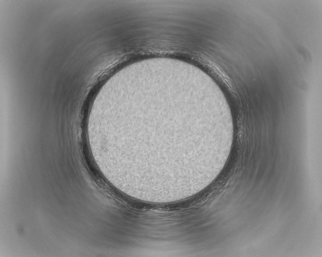 X0000115280635200911272007