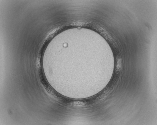 X0000115280636200911272007