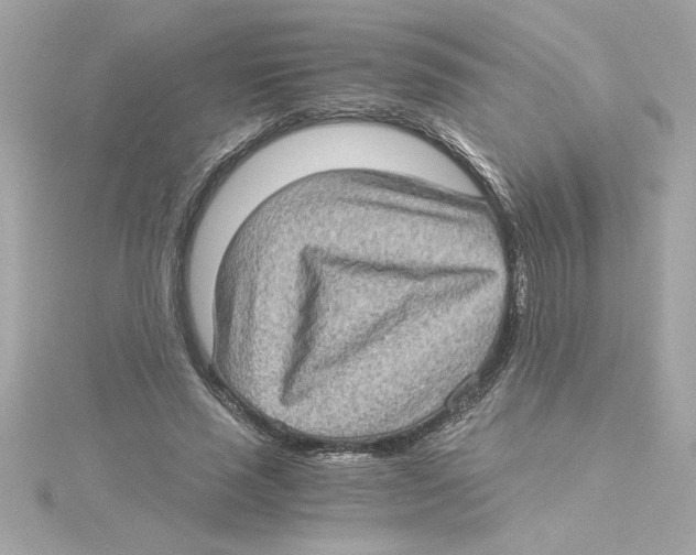 X0000115280637200911272007