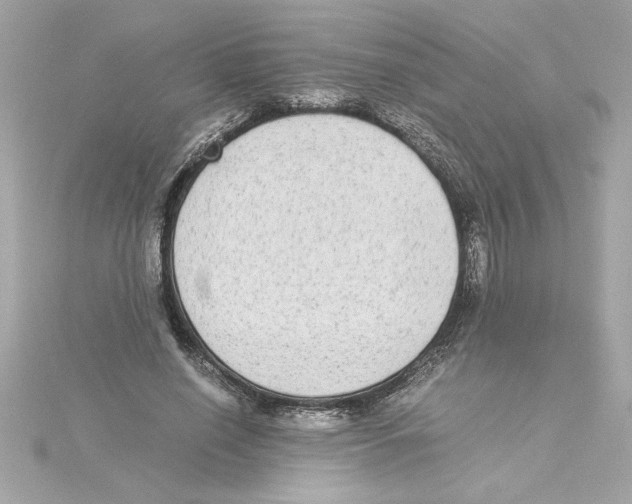 X0000115280638200911272007