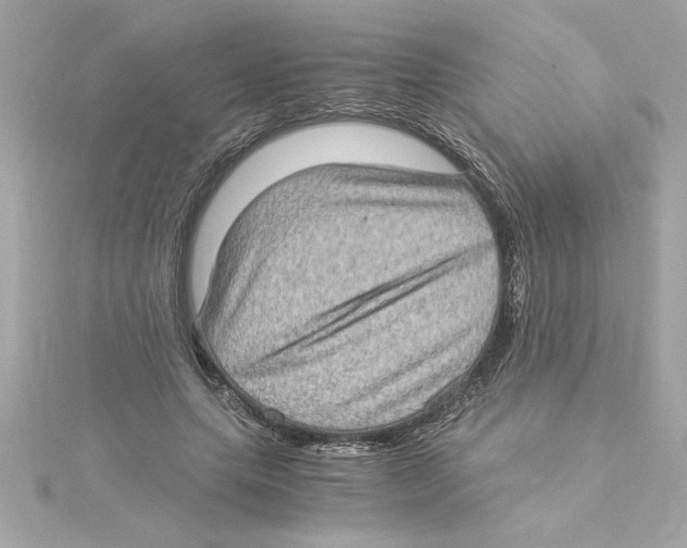 X0000115280639200911272007