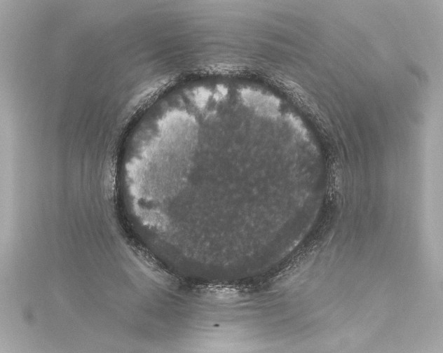 X0000115280640200911272007