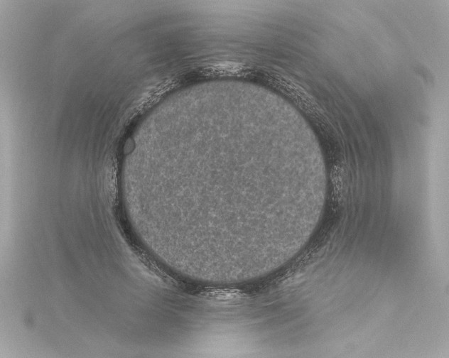 X0000115280642200911272007