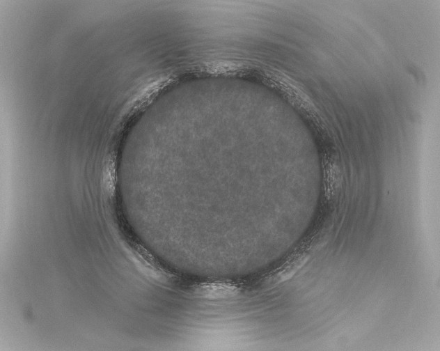 X0000115280644200911272008