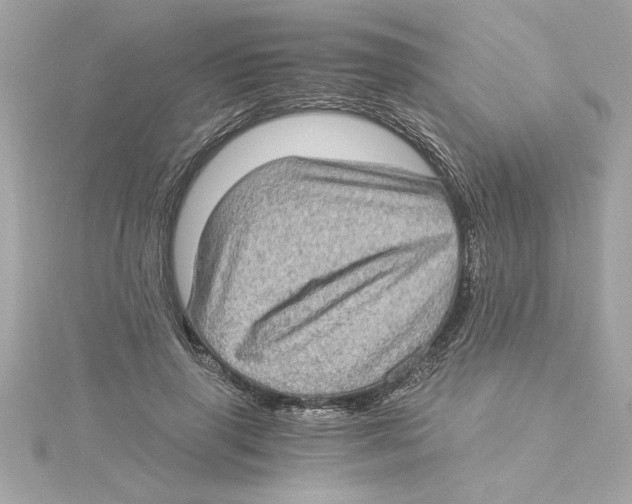 X0000115280645200911272008