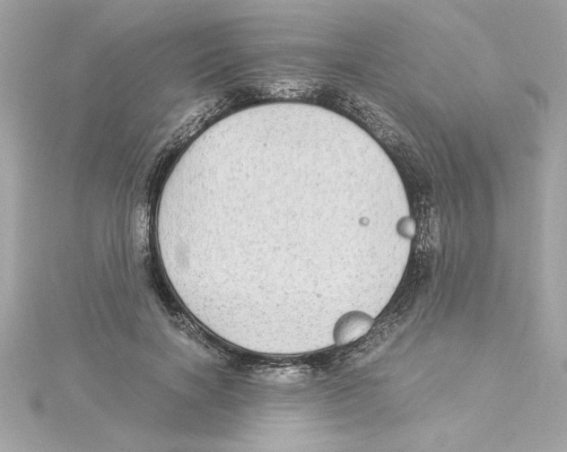 X0000115280646200911272008