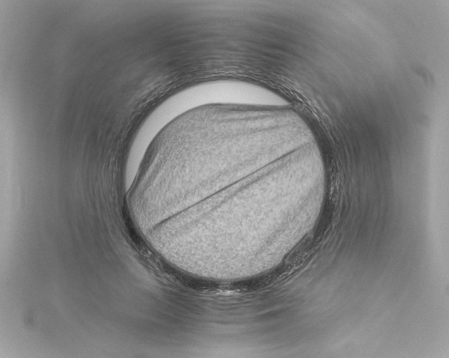 X0000115280647200911272008