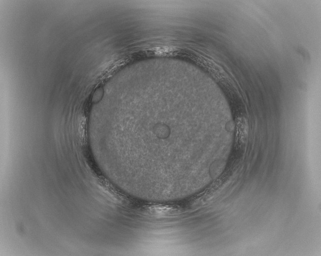 X0000115280650200911272008