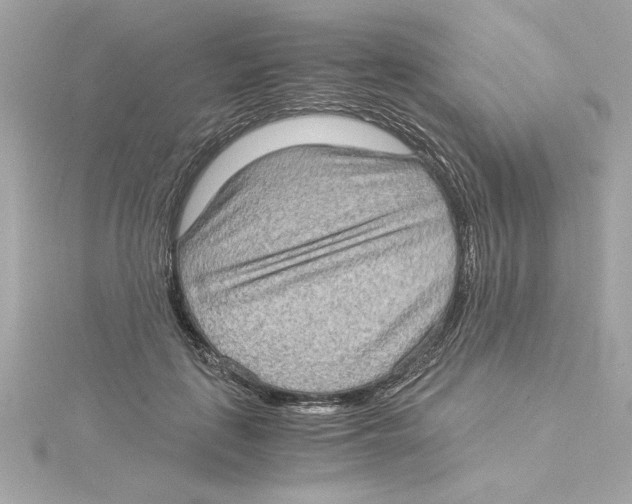 X0000115280651200911272008