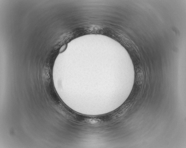 X0000115280654200911272008