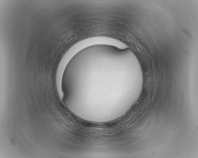 X0000115280655200911272008