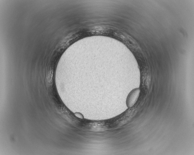 X0000115280660200911272008