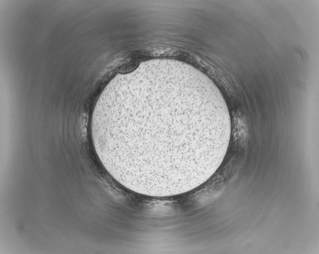 X0000115280664200911272008