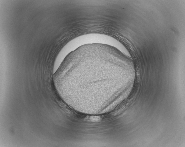 X0000115280665200911272008