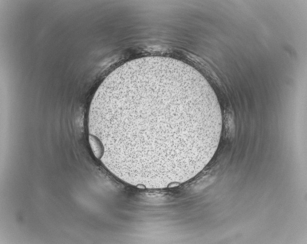 X0000115280668200911272008