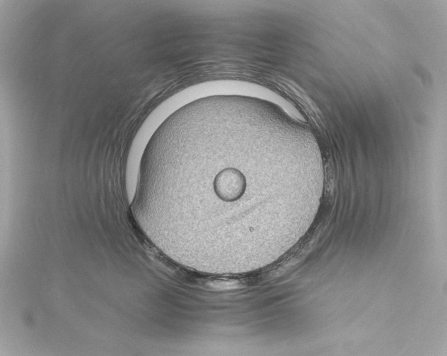 X0000115280669200911272008