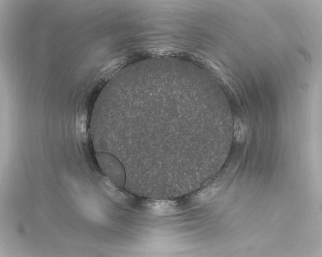 X0000115280670200911272008