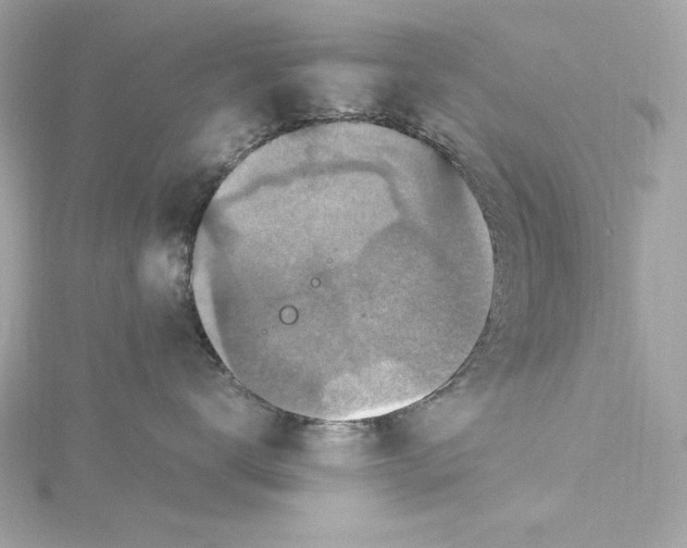 X0000115280672200911272008