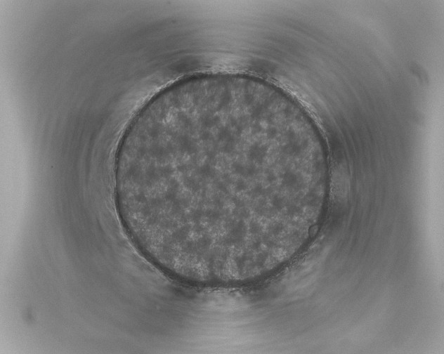 X0000115280673200911272007