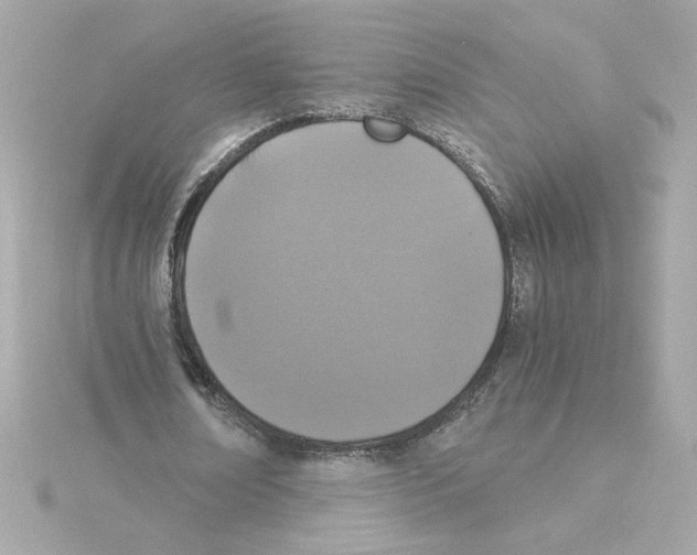 X0000115280674200911272007