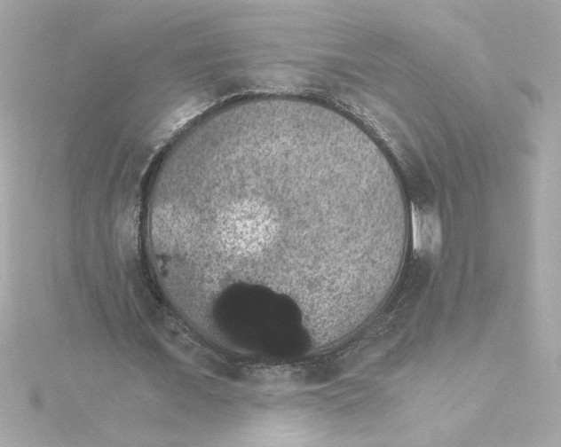 X0000115280675200911272007