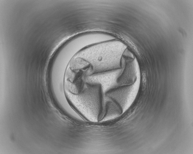 X0000115280676200911272007