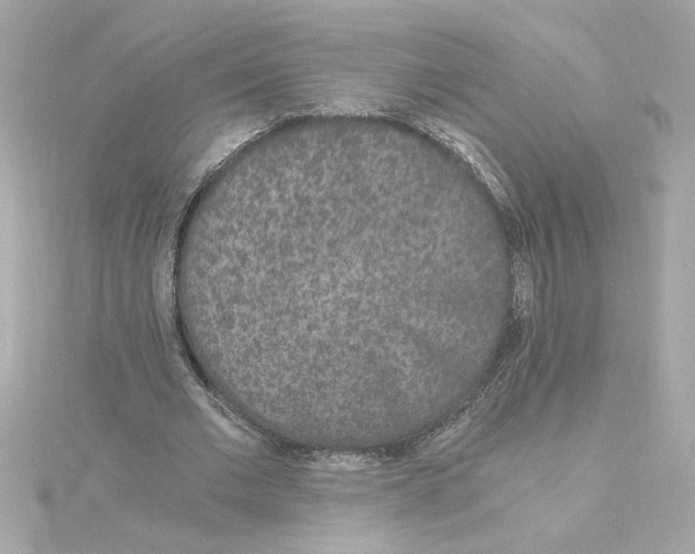 X0000115280677200911272007