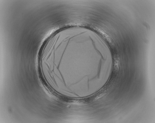 X0000115280678200911272007