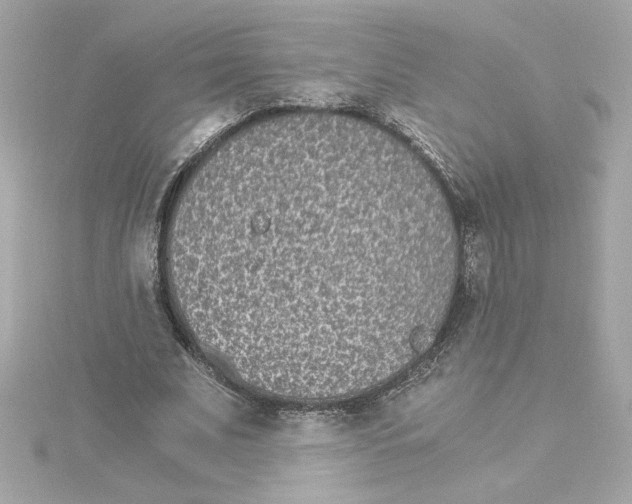 X0000115280679200911272007