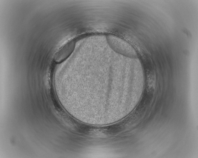 X0000115280680200911272007