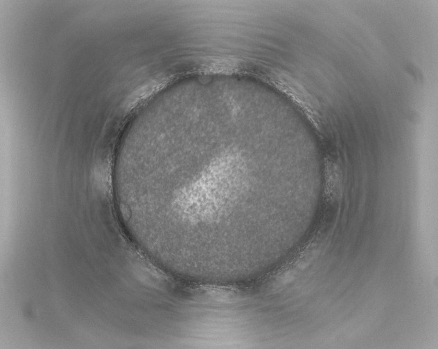 X0000115280681200911272007