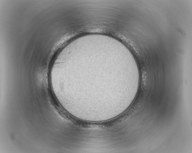 X0000115280682200911272007