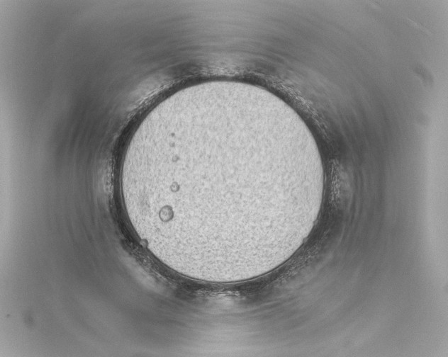 X0000115280683200911272007