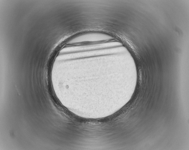 X0000115280684200911272007